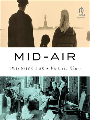 cover image of Mid-Air